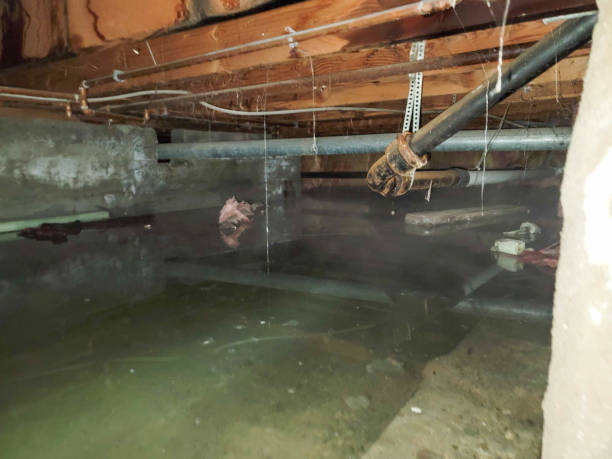 Best Water damage restoration near me  in Lanett, AL