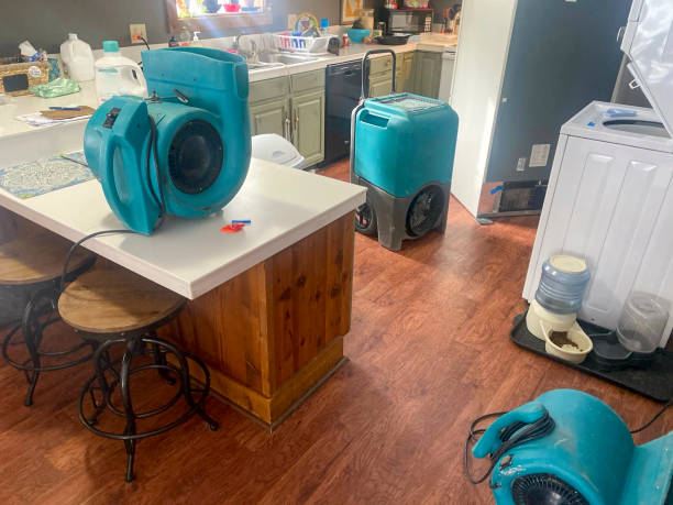 Best Mold removal after water damage  in Lanett, AL