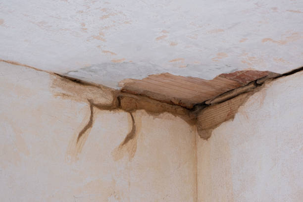 Lanett, AL Water damage restoration Company