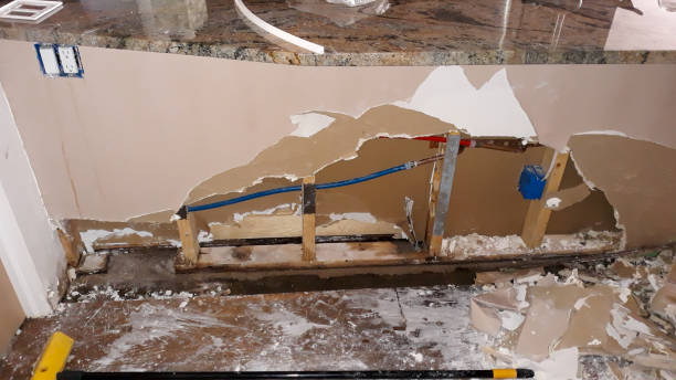 Best Flooded house restoration  in Lanett, AL