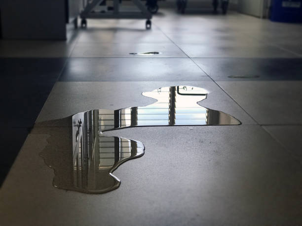 Best 24/7 water damage repair  in Lanett, AL