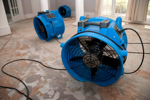 Best Carpet water damage restoration  in Lanett, AL