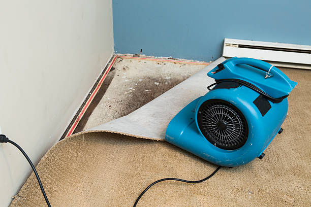Best Water damage repair service  in Lanett, AL